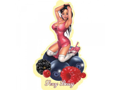 Ароматизатор воздуха подвесной картонный AZARD "Babies" Sexy Berry Лесные ягоды от AZARD Ароматизатор воздуха подвесной картонный AZARD "Babies" Sexy Berry Лесные ягоды